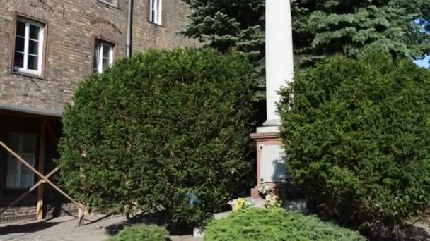 Salmodistas Casa y estatua de la Virgen María Inmaculada en Poznan en la Isla Catedral, junto con restos de palacio. Poznan (Posen) es una ciudad en el río Warta en el centro-oeste de Polonia. . — Vídeo de stock