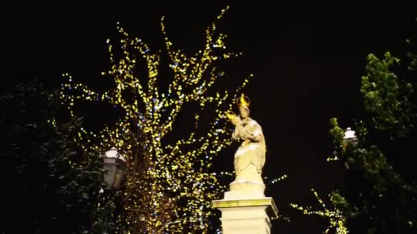 Krakowskie Przedmiescie újévben. Royal Avenue alkotja legészakibb része Varsó Royal Route, és összeköti az Óváros és a királyi vár Castle Square Varsó, Lengyelország — Stock videók