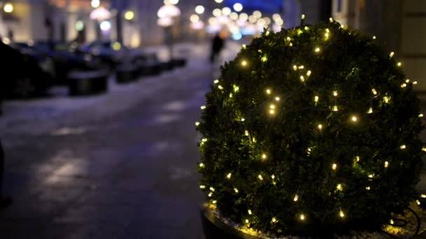 Krakowskie Przedmiescie in New Year. Royal Avenue constitutes northernmost part of Warsaw Royal Route, and links Old Town and Royal Castle at Castle Square in Warsaw, Poland — Stock Video