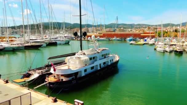 Χώρος στάθμευσης ιστιοπλοΐα πλοία στην Μαρίνα Πάλμα ντε Μαγιόρκα, των Βαλεαρίδων Νήσων στην Ισπανία. — Αρχείο Βίντεο