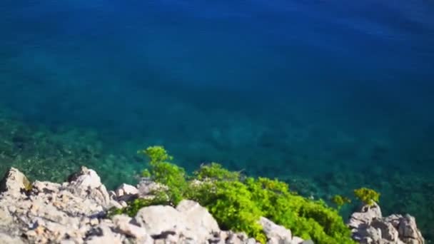 Kroatische Felsenküste an der Adria an einem sonnigen heißen Tag. — Stockvideo