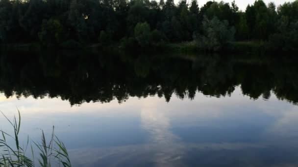 Solnedgång på en bakgrund av en lugn flod sommar varm kväll. — Stockvideo