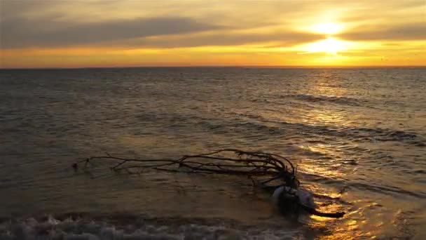 Solnedgång på Östersjön. Östersjön (Ostsee) är ett hav av Atlanten, omges av Skandinavien, Finland, Baltikum och norra europeiska slätten. — Stockvideo