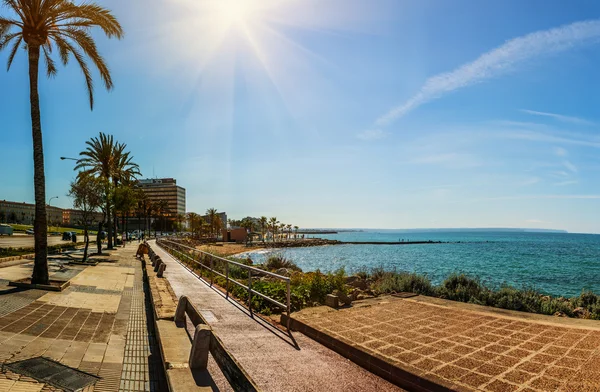 Palma, Mallorca, Balear İspanya'da bisiklet yolu — Stok fotoğraf