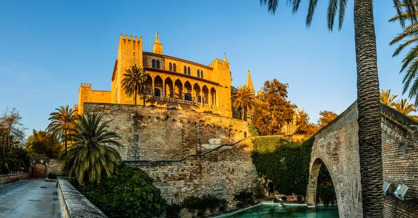 Cisnes en un estanque cerca del Palacio Real en Palma, España — Foto de Stock