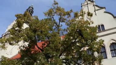 Bydgoszcz Bölge Mahkemesi. Bydgoszcz (Bromberg'de, Bydgostia) Kuzey Polonya, Brda ve Vistula nehirleri üzerinde yer alan şehridir. Kuyavian-Pomeranian Voyvodalığı, Bydgoszcz ilçe merkezi oldu.