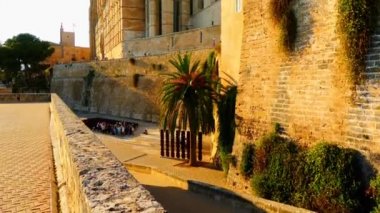 Genellikle La Seu adlandırılan katedral Della Palma, daha fazla olduğunu önceden varolan bir Arap Camii sitede inşa Palma, Majorca, İspanya, içinde bulunan Gotik Roman Katolik Katedrali.