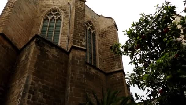 Santa Margarita, 4 k Kilisesi San Miguel sokak, No 69, Palma, Balear Adaları, Majorca, İspanya yer alır. Bir dikdörtgen NEF yan şapel ve dikdörtgen tabanının apsis ile vardır. — Stok video
