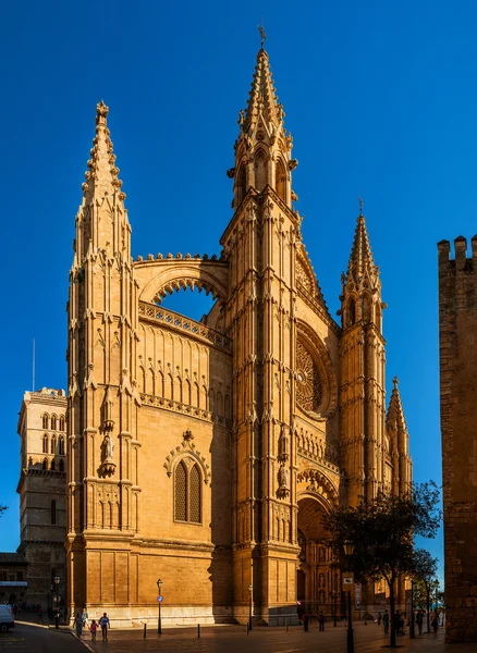 touristes visitant le monument célèbre leon cathédrale ...