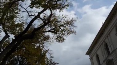 Katedral Martin ve Nicholas, Bydgoszcz, Polonya - Katolik Kilisesi onbeşinci yüzyılda inşa. Gotik tarzı