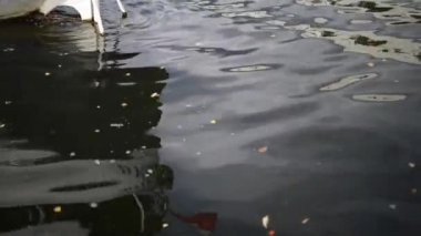 Tekne ve Opera Nova Lehçe bayrak bir opera Bydgoszcz bulunan ve 1956'da kurulan Ayrıca bir müzikal tiyatro rol oynayan evim. Kuyavian-Pomeranian Voyvodalığı.