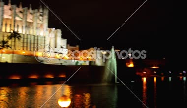 Genellikle La Seu adlandırılan katedral Della Palma, daha fazla olduğunu önceden varolan bir Arap Camii sitede inşa Palma, Majorca, İspanya, içinde bulunan Gotik Roman Katolik Katedrali.