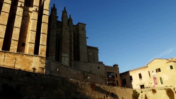 Cattedrale di Santa Maria di Palma, più comunemente indicato come La Seu, è una cattedrale gotica cattolica romana situata a Palma, Maiorca, Spagna, costruita sul sito di una moschea araba preesistente . — Video Stock