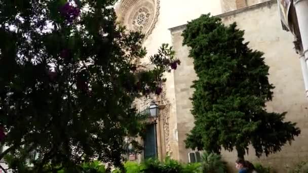 Монастырь Сан-Франциско-де-Пальма-де-Майорка представляет собой группу, образованную одноименной малой базиликой, монастырём и несколькими отдельными зданиями. Пальма-де-Майорка, Балеарские острова, Испания — стоковое видео