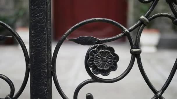 Metal fence on Mariacka street in Gdansk. Gdansk (Danzig) is Polish city on Baltic coast, capital of Pomeranian, polish principal seaport and centre of country's fourth-largest metropolitan area. — Stock Video