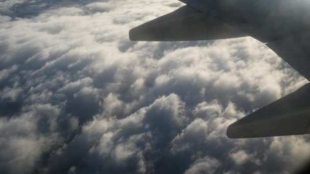 Letadlo letí nad tlusté bílé mraky ve výšce 7000 m nad mořem. — Stock video