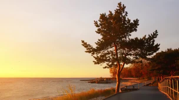 Hel Peninsula is een 35 km lange zandstaaf schiereiland in het noorden van Polen die de baai van Puck scheiden van de open Oostzee. Het ligt in de provincie puck in het woiwodschap Pommeren. — Stockvideo