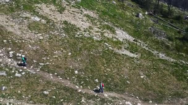 Vue du dessus de la steppe avec des herbes et de jeunes arbres bas . — Video