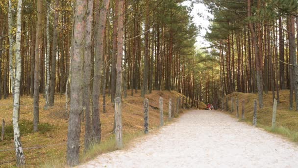 Twee zusjes wandelen in herfstdag langs de oever van het Oostzeegebied in Łeba, Polen. — Stockvideo