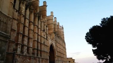Genellikle La Seu adlandırılan katedral Della Palma, daha fazla olduğunu önceden varolan bir Arap Camii sitede inşa Palma, Majorca, İspanya, içinde bulunan Gotik Roman Katolik Katedrali.