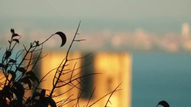 Odak transfer: Hazine Müzesi ataerkil Lizbon, Portekiz. Roma Rite Roma Katolik Kilisesi'nin bir Başpiskopos Patrikhanesi Lizbon (Patriarchatus Ulixbonensis) olduğunu