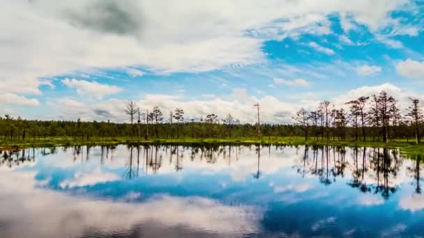 Timelapse: moeras veld in Viru Raba in Lahemaa, Estland. — Stockvideo