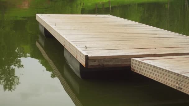 Houten brug aan de oever van een vijver in een stadspark in de zomer. — Stockvideo