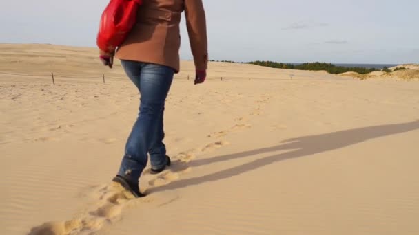 Bela mulher vai deserto nas dunas de areia branca de Leba, Voivodia da Pomerânia da Polônia . — Vídeo de Stock