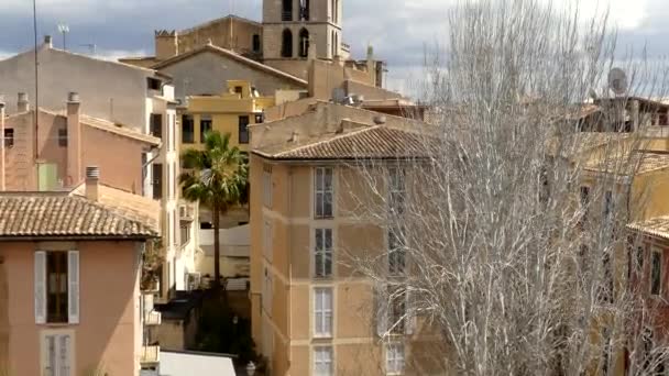 Die Kirche des Heiligen Kreuzes befindet sich in Santa Creu an der Ecke der Straße Santa Cruz und San Lorenzo in Palma de mallorca, auf der Insel Mallorca. es ist eine der ersten Pfarreien von Palma, gotisch. — Stockvideo