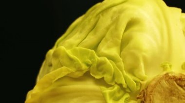 Dairesel hareket: Lahana veya başlı lahana (Brassica oleracea çeşitli çeşitleri oluşan) yapraklı yeşil veya mor bienal bitki, yoğun yapraklı kafaları için yıllık sebze olarak yetiştirilen.