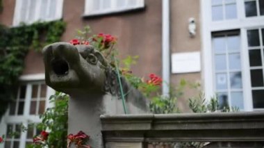 Gdansk Mariacka Caddesi üzerinde bir ejderha drenaj. Gdansk (Danzig) Polonya Baltık kıyıları, Pomeranian, Polonya asıl liman ve countrys en büyük dördüncü metropol merkezinin başkenti şehirdir