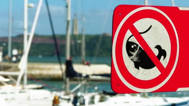 O sinal, que proíbe a pesca no subúrbio marina de Belém, em Lisboa, Portugal . — Vídeo de Stock