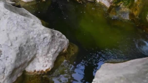 Kanion rzeki krasowy Paklenica jest park narodowy w Chorwacji. Znajduje się on w miejscowości Starigrad, w północnej Dalmacji, na południowym stoku górskiego Velebit niedaleko Zadaru. Velika Paklenica i Mala. — Wideo stockowe