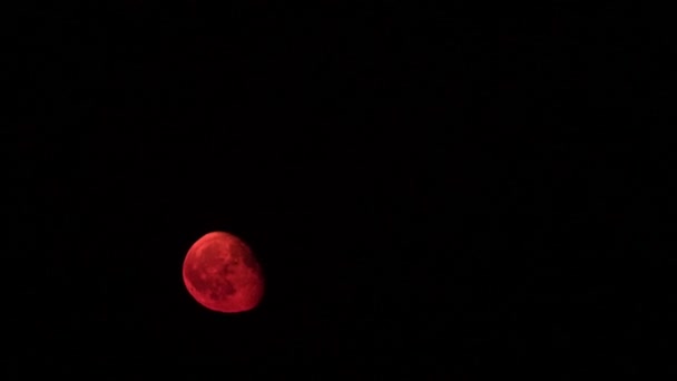 타임랩스: 달은 지구만 영구적인 자연 위성입니다. 그것은 태양계에서 가장 큰 자연 위성 중 하나입니다. — 비디오