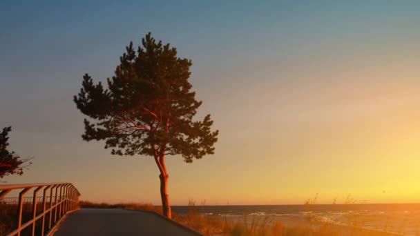 Полуостров Хель представляет собой 35-километровый песчаный полуостров на севере Польши, отделяющий залив Пак от открытого Балтийского моря. Расположен в округе Пак Поморского воеводства . — стоковое видео