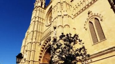 Genellikle La Seu adlandırılan katedral Della Palma, daha fazla olduğunu önceden varolan bir Arap Camii sitede inşa Palma, Majorca, İspanya, içinde bulunan Gotik Roman Katolik Katedrali.