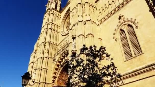 Cattedrale di Santa Maria di Palma, più comunemente indicato come La Seu, è una cattedrale gotica cattolica romana situata a Palma, Maiorca, Spagna, costruita sul sito di una moschea araba preesistente . — Video Stock