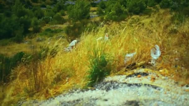 Het dorp aan zee. Kroatische rotsachtige kust aan de Adriatische Zee op een zonnige warme dag. — Stockvideo