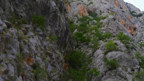 Paklenica カルスト川キャニオンは、クロアチアの国立公園です。スタリー グラード、ザダルからそれほど遠くない、ヴェレビト山の南斜面での北ダルマチアにあります。マラとヴェリカ パクレニツァ. — ストック動画