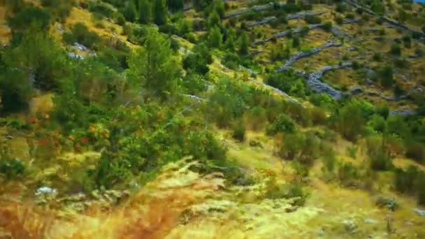 Côte rocheuse croate sur la mer Adriatique par une journée chaude ensoleillée .
