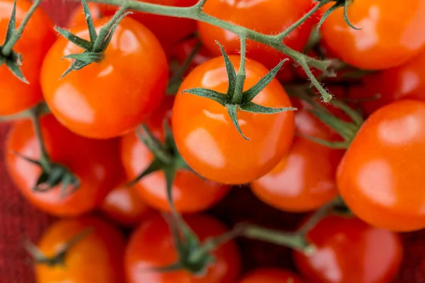 Tomates Mûres Sur Une Branche Sur Tapis Laine Rouge — Photo
