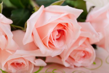 Masadaki güzel pembe güller.