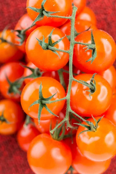 Tomates Mûres Sur Une Branche Sur Tapis Laine Rouge — Photo