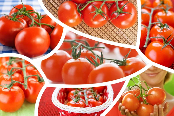 Fotokollage Vackra Röda Mogna Tomater — Stockfoto