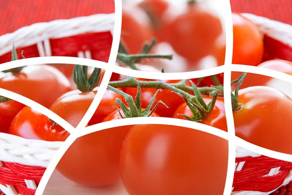 Colagem Fotos Belos Tomates Vermelhos Maduros — Fotografia de Stock