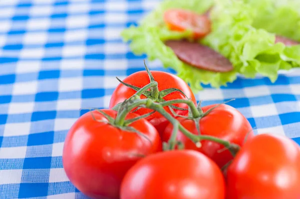 Rode Tomaten Een Geruite Blauwe Tafelkleed Gerookte Worst Sla — Stockfoto