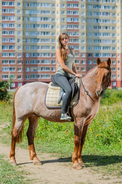 Mulher Bonita Cavalo Marrom Centro Verão Perto Uma Casa Vários — Fotografia de Stock