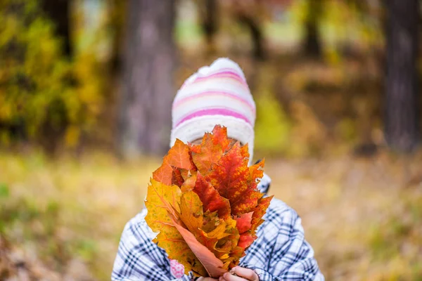 Egy Kockás Kabátos Kislány Egy Csokor Őszi Sárga Levelet Tart — Stock Fotó