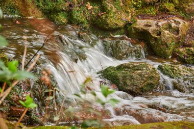 Dağlık arazideki fırtınalı su akıntısı yosunlarla kaplı taşların üzerinde akıyor..