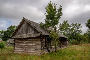 Eski ahşap kulübe. Çimenler büyümüş. Hava bulutlu. Saydam çatı.